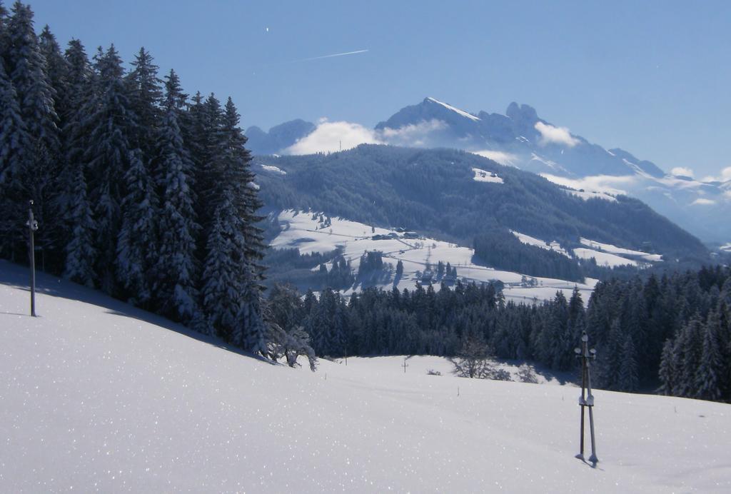 Biohof Haus Wieser Abtenau Rum bild